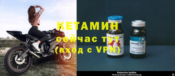 стафф Алзамай