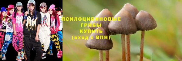 твердый Алексин
