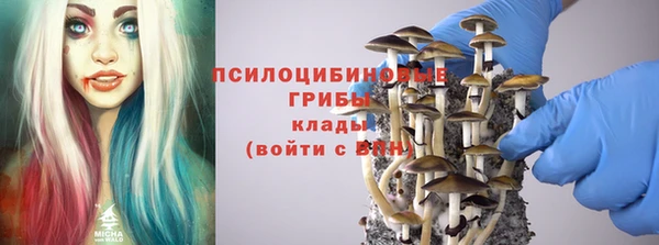 стафф Алзамай