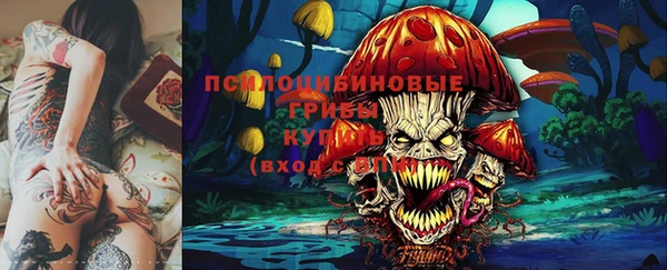твердый Алексин