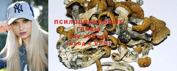 тгк Алексеевка