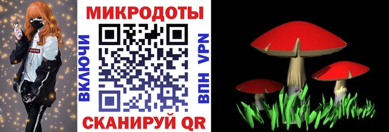 купить  сайты  Луза  Псилоцибиновые грибы GOLDEN TEACHER 